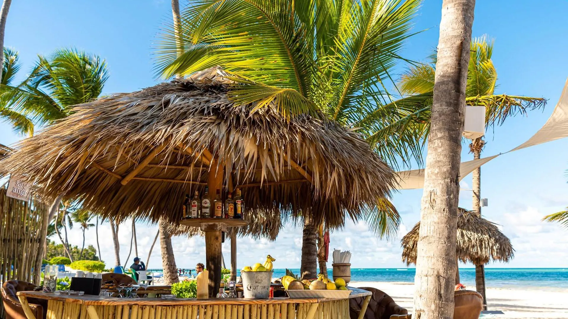 Apartment Spectacular Beach Penthouse With Ocean Views Punta Cana